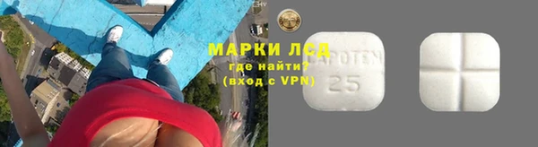 мдпв Богородицк